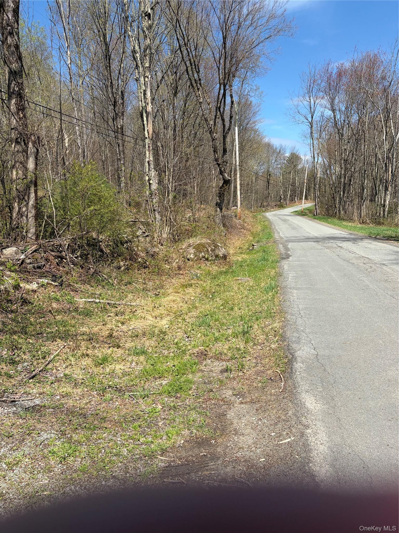Property Photo: 209 Stream Hollow NY 12428