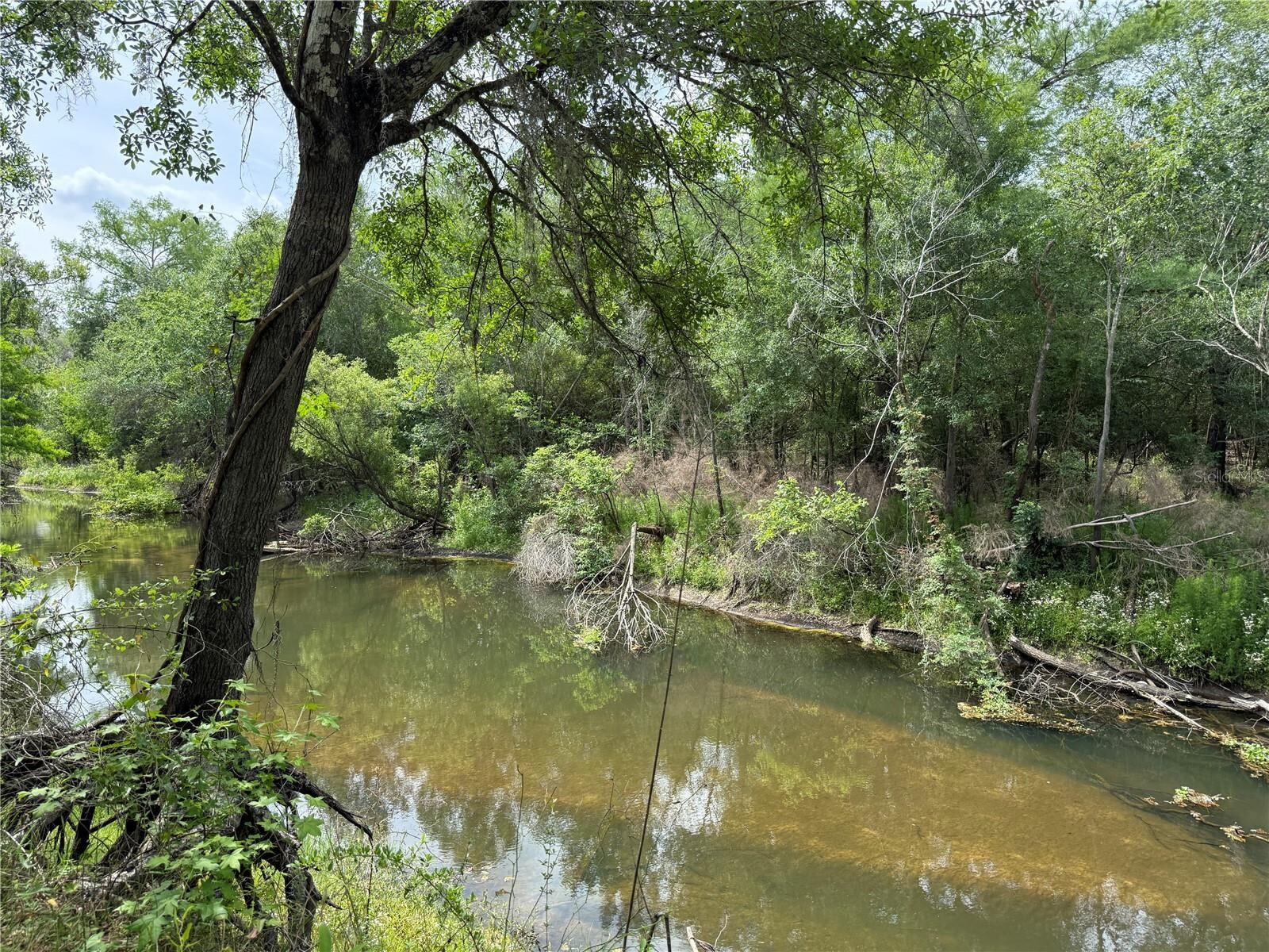 Property Photo:  3205 Park Dr  FL 33523 