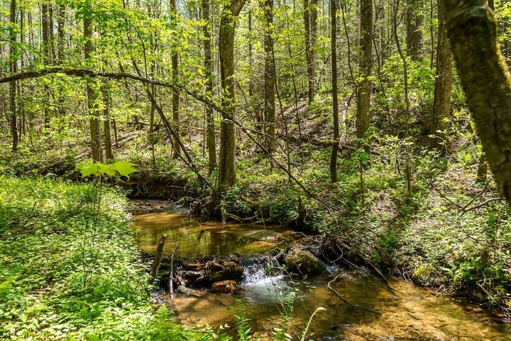 Property Photo:  000 Burnt Mountain Road  GA 30536 
