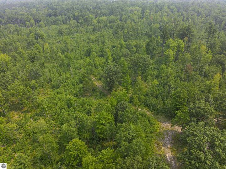 Property Photo:  00 Shady Lane  MI 49646 