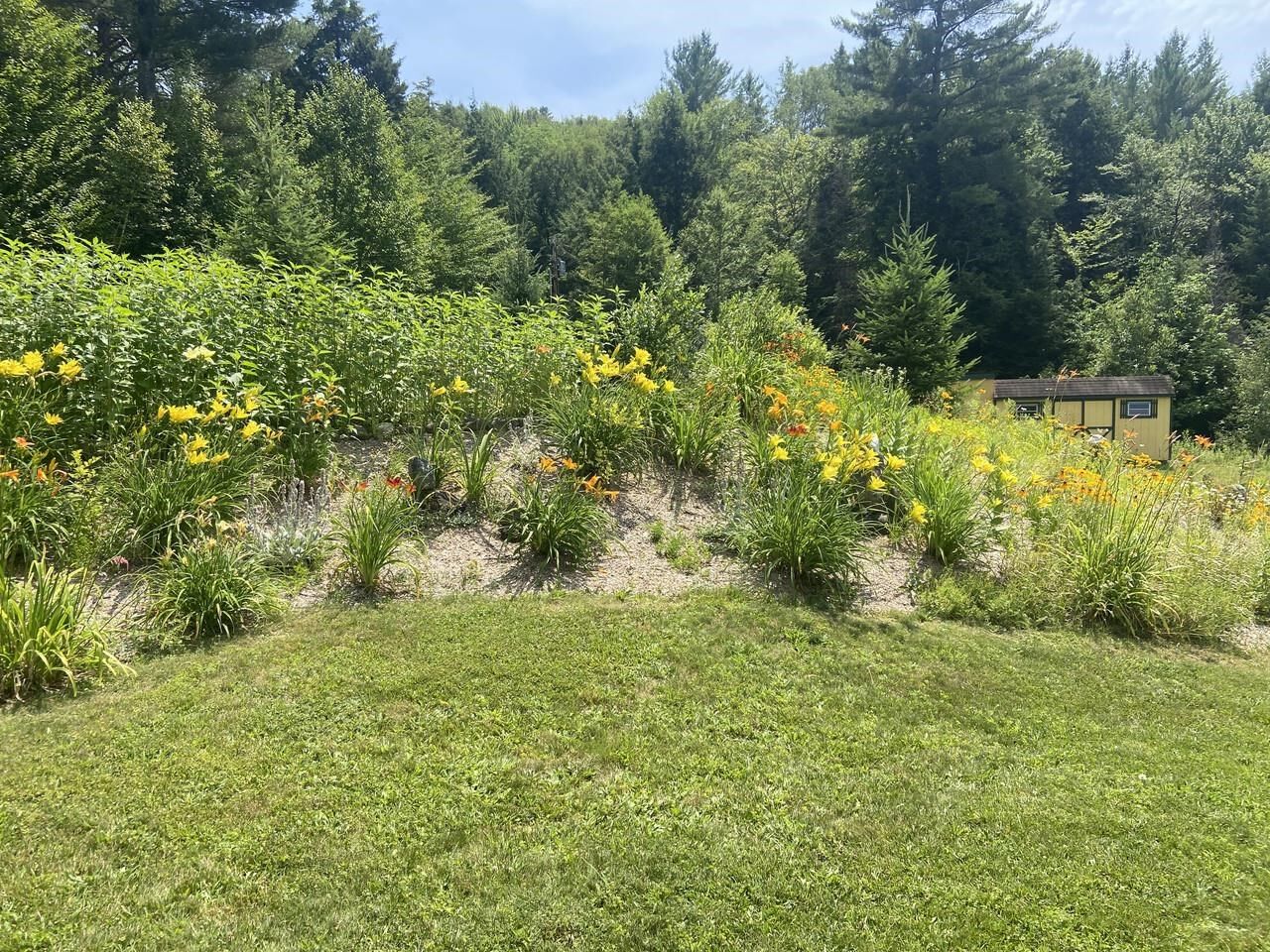 Property Photo:  159 Tracy Hill Road  VT 05669 