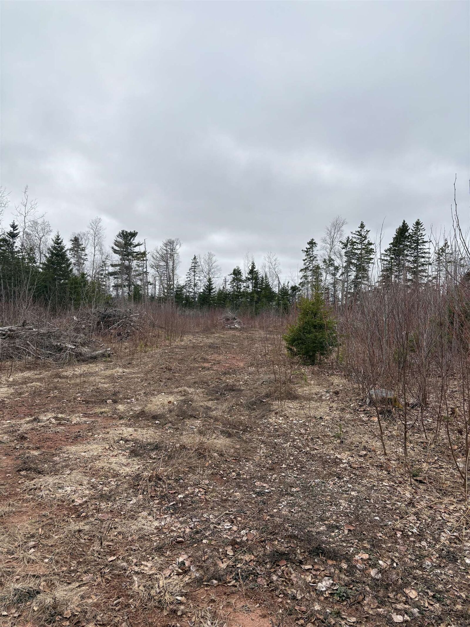 Property Photo:  Lot Louis Road  PE C0A 1R0 