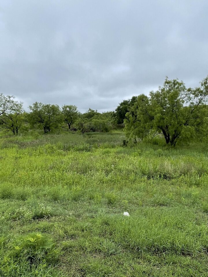 Property Photo:  533 Lake View Heroes Drive  TX 76903 