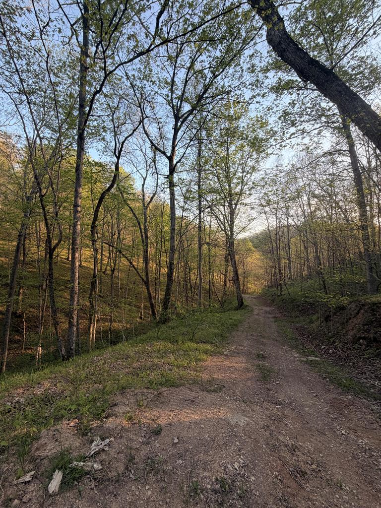 Property Photo:  950 Scenic Drive  OH 45686 