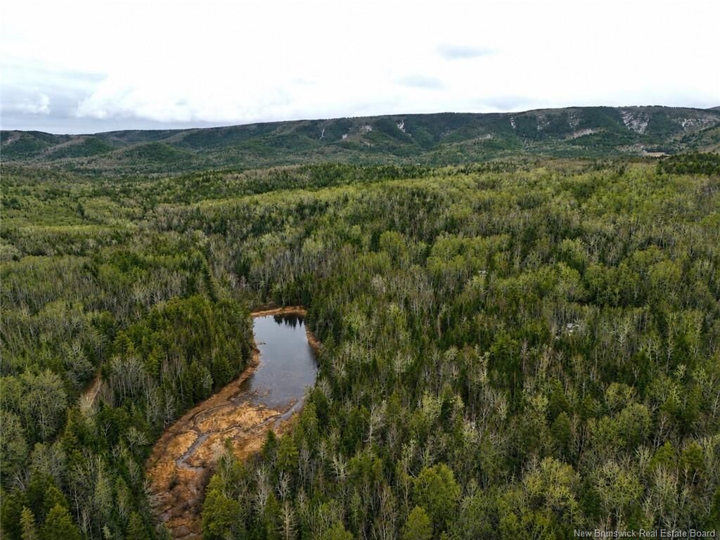 Property Photo:  Lot Shaw Road  NB E4H 4H7 