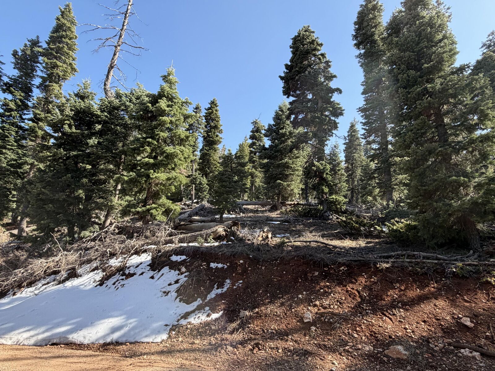Property Photo:  1015 W Big Horn Cir  UT 84762 