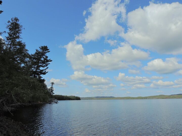 Property Photo:  463 S Gunflint Lake Rd  MN 55604 