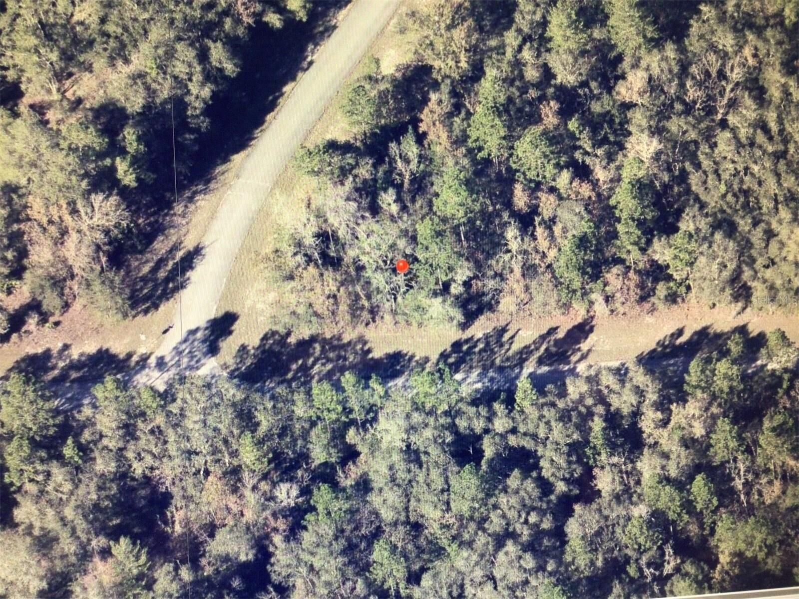 Property Photo:  0 SW 145 Place Road  FL 34473 