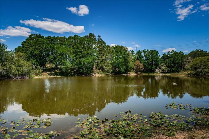 Property Photo:  6804 Seafairer Drive  FL 33615 