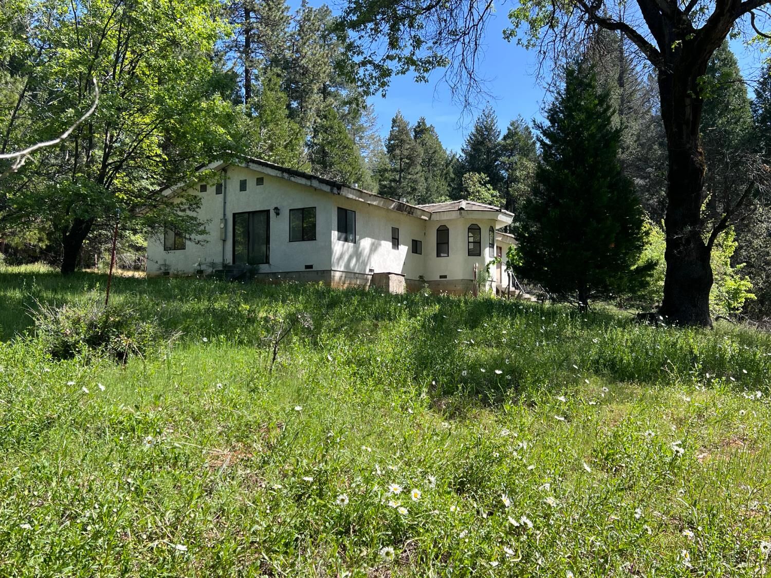 Property Photo:  5201 Old Mine Road  CA 95636 