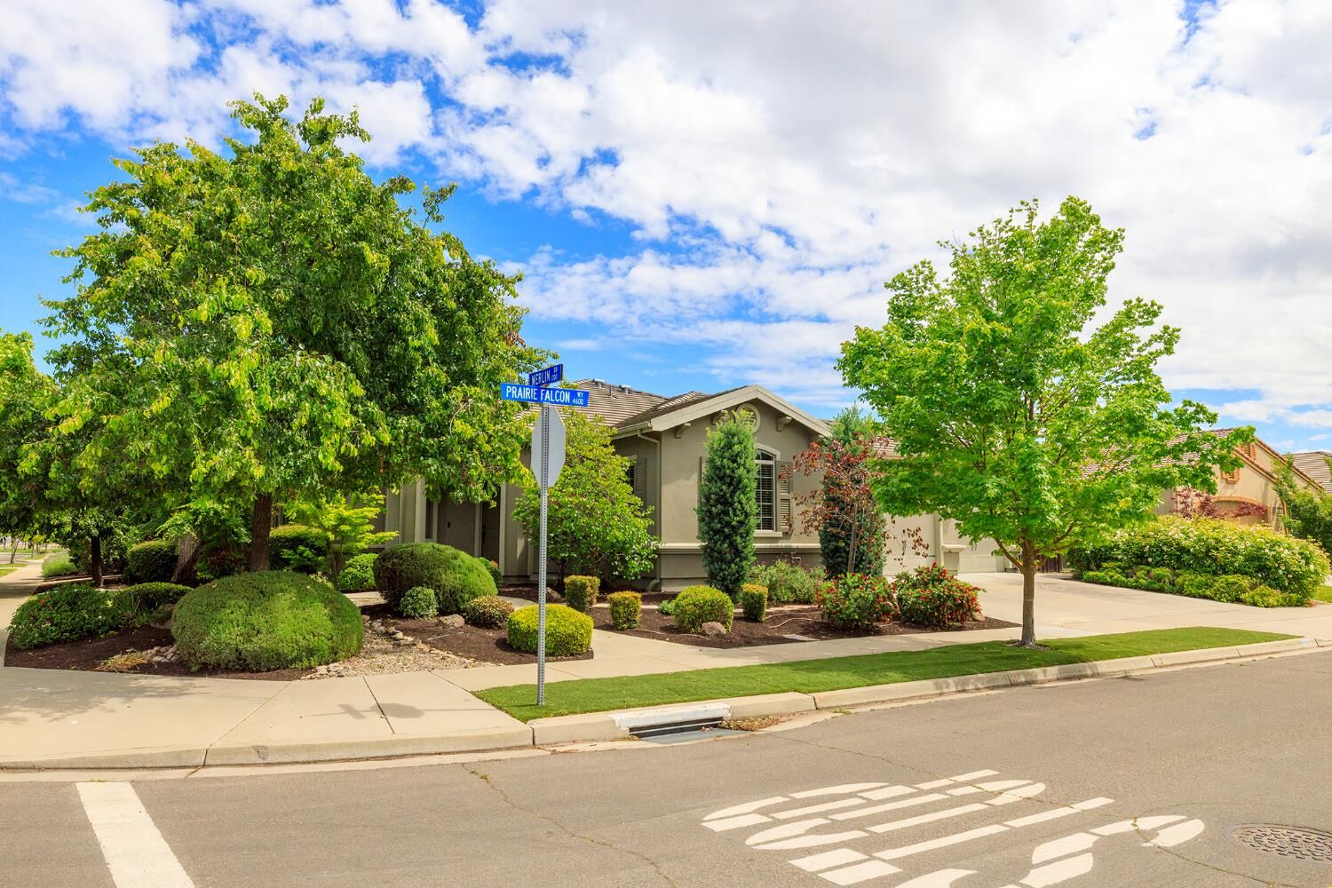 Property Photo:  4692 Prairie Falcon Way  CA 95382 