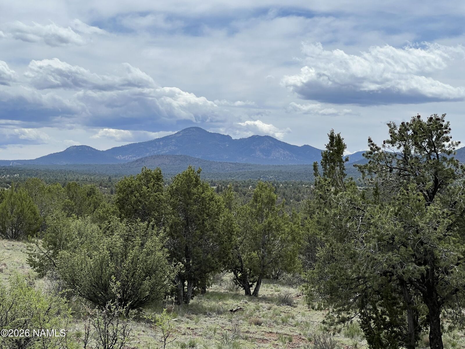 Property Photo:  6090 N Cliff Rose  AZ 86046 