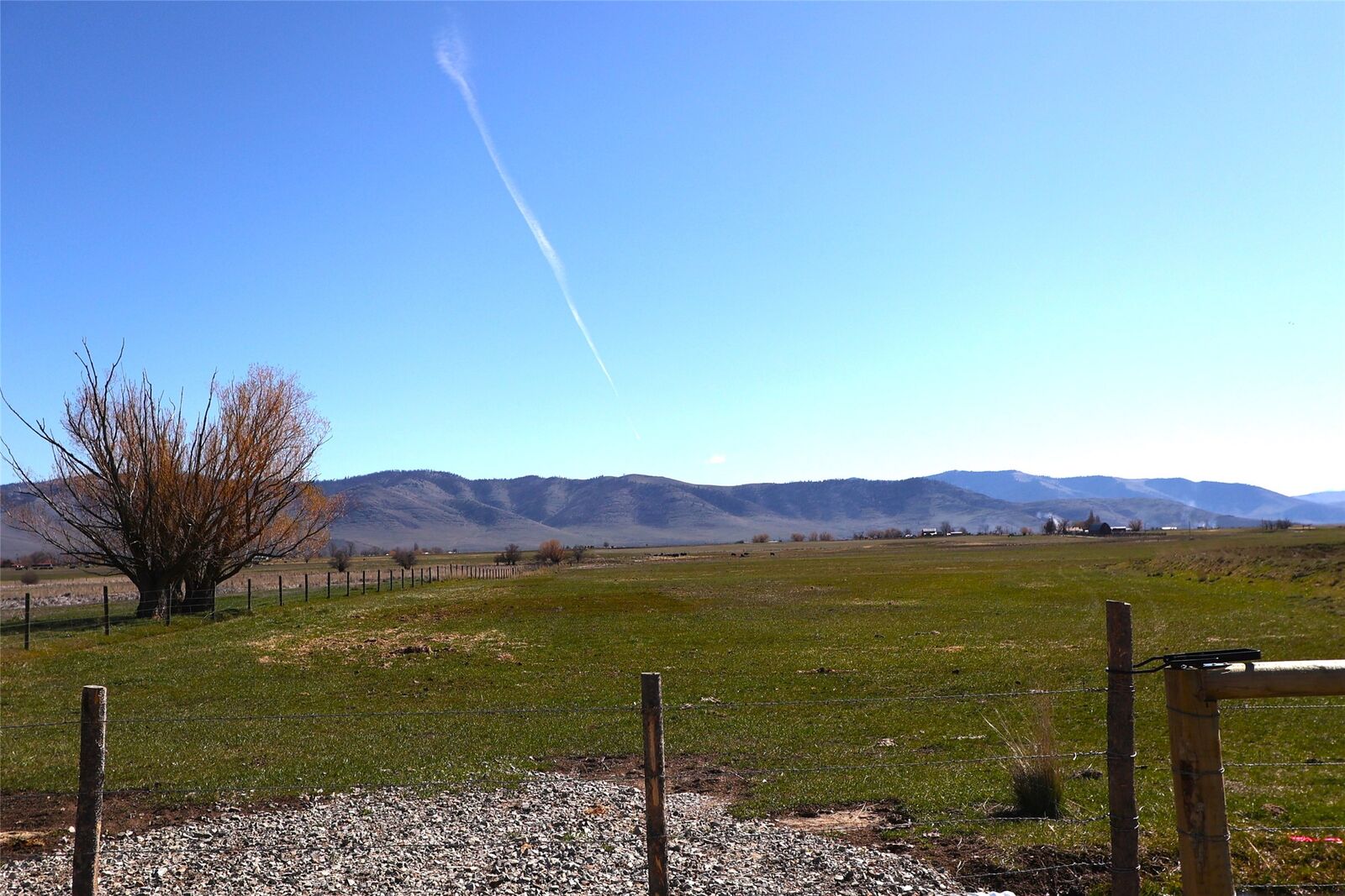 Property Photo:  24 Cluzen Road  MT 59848 