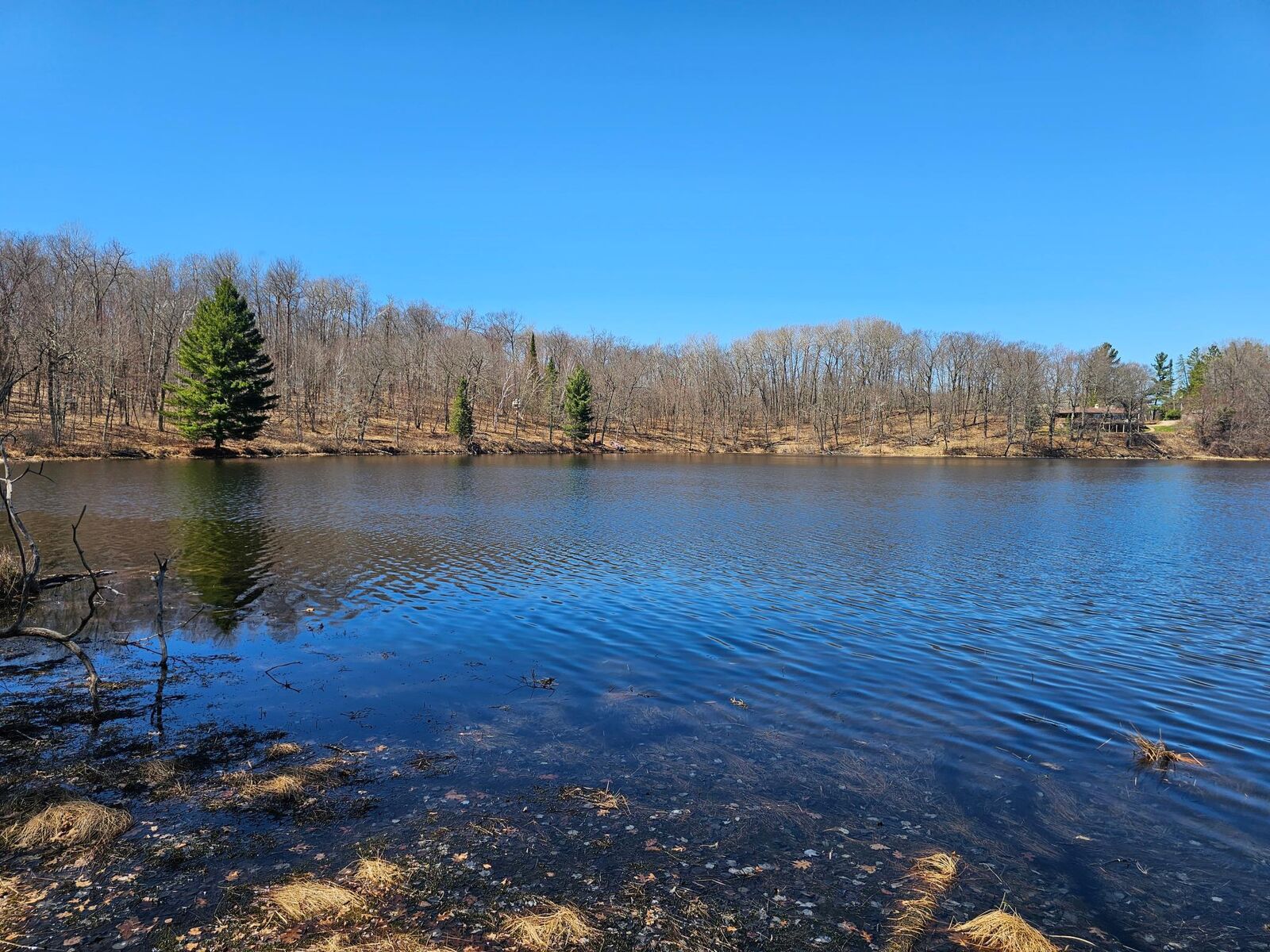 Property Photo:  Tbd Tract A Swanson Road  MN 56444 