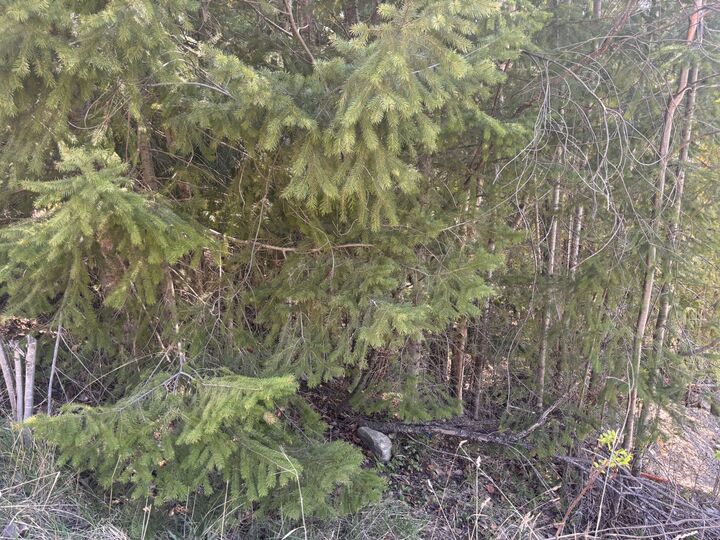 Photo de la propriété:  Lot 8 Stampede Trail  BC V0E 1M8 