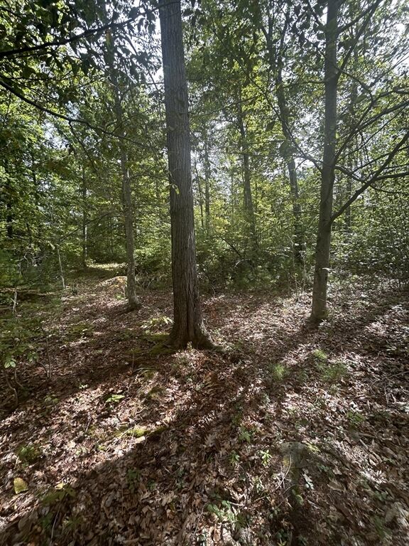 Property Photo:  531 Mason Rd  MA 01431 