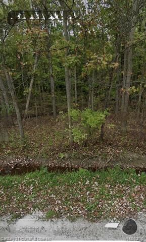 Property Photo:  24661 28 Mile Road  MI 48096 