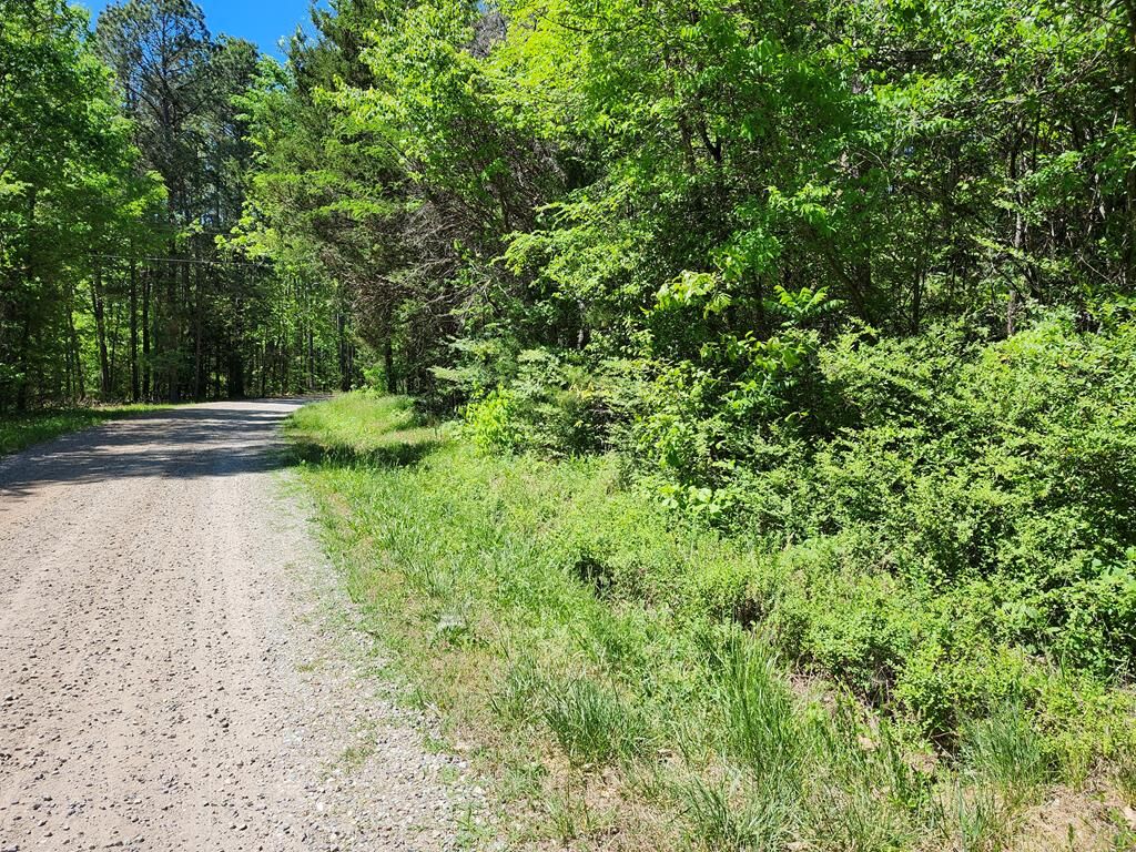 Property Photo:  0 Mill-Scott Road  VA 23901 
