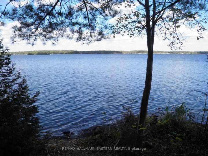 1420 Island 76 Stoney Lake N/A — photo 1