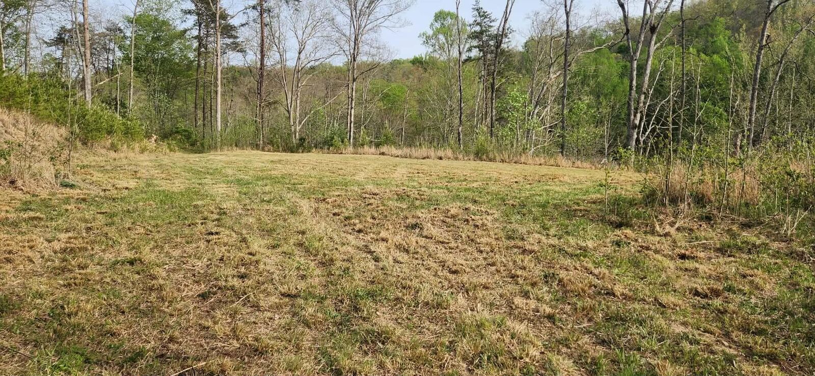 Property Photo:  Stinson Creek Road Lot 4  KY 41143 