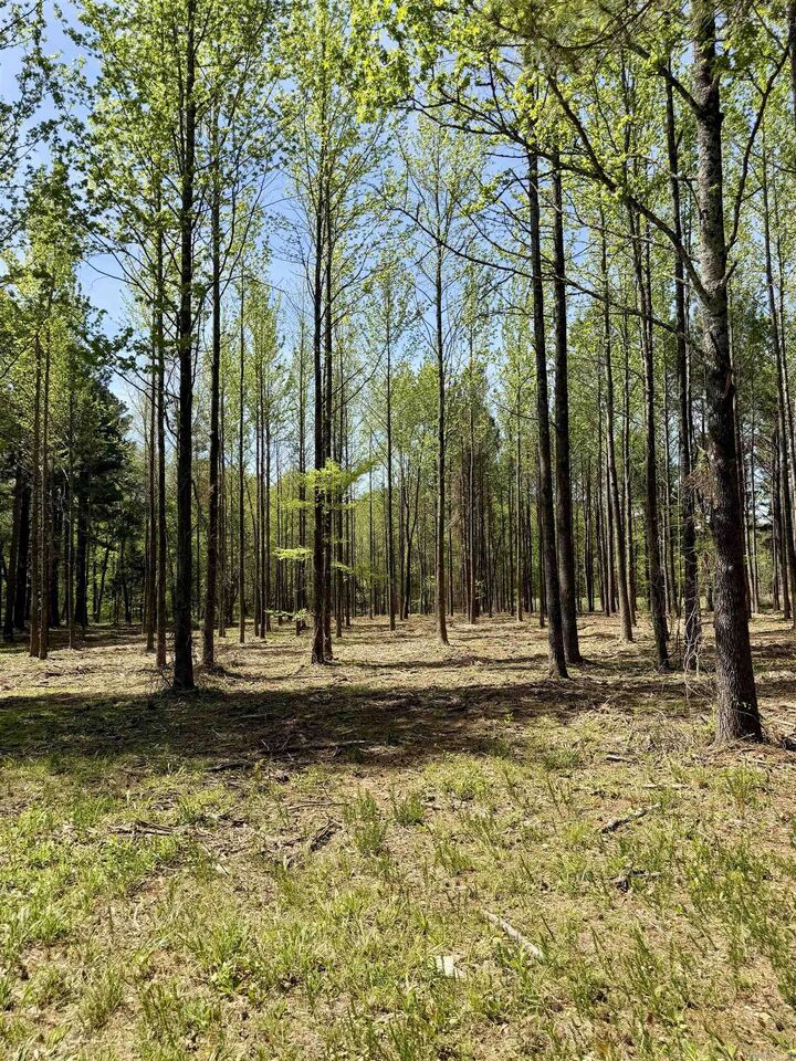 Property Photo:  000 Treva Lane  AR 72830 