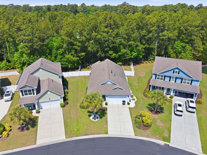 Property Photo:  191 Coral Beach Circle  SC 29575 