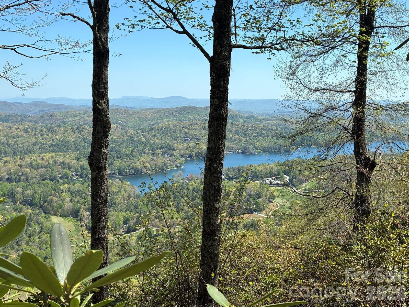 Property Photo:  P 2 L020rv Toxaway Cliff 20  NC 28747 