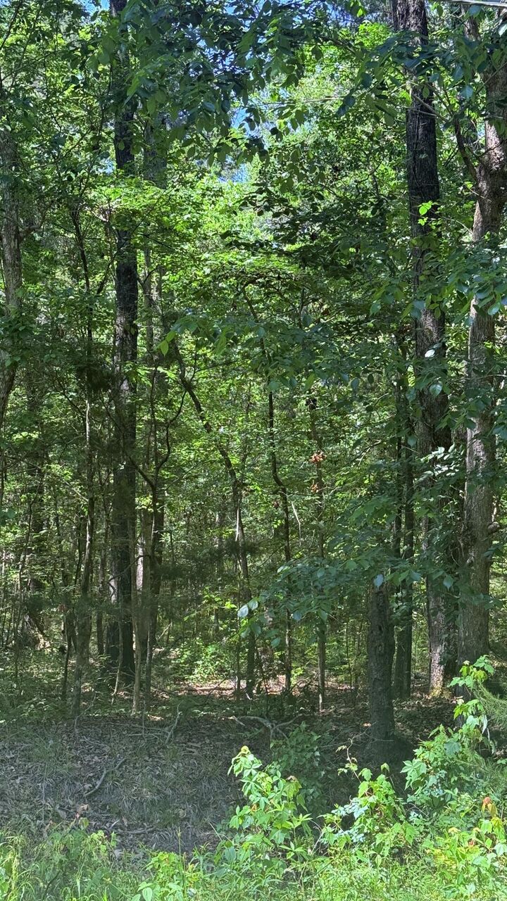 Property Photo:  00 Weir Street  SC 29483 