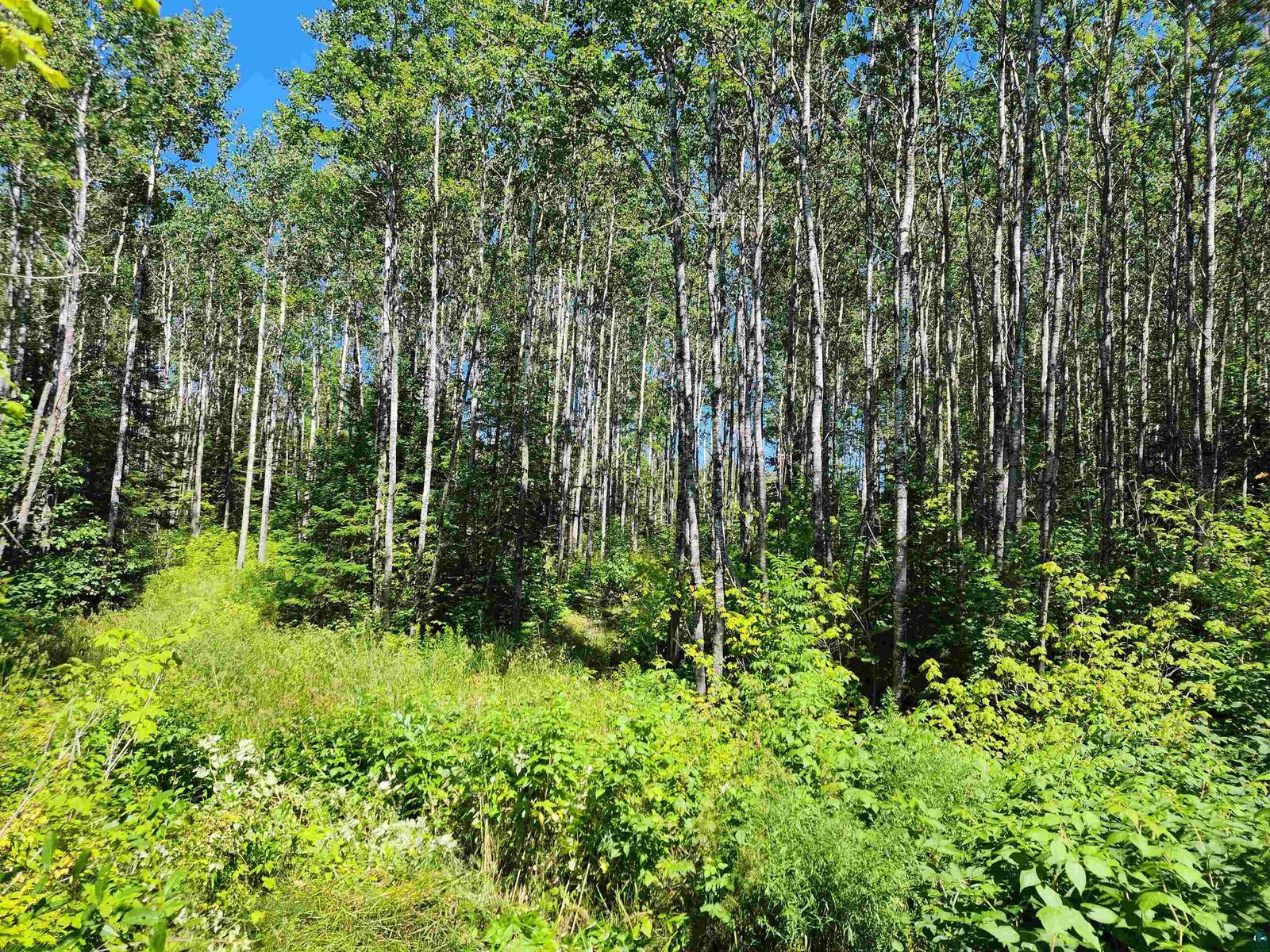 Property Photo:  Xx Black Granite Tr  MN 55606 
