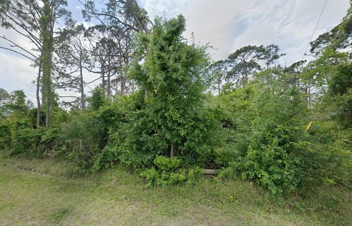 Property Photo:  12519 Patsy Avenue  FL 33981 