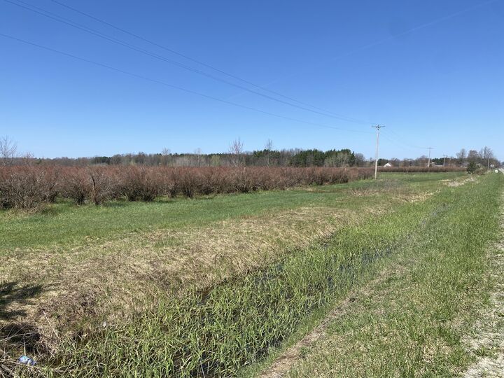 Property Photo:  Vl S Wolf Lake Road  MI 49415 
