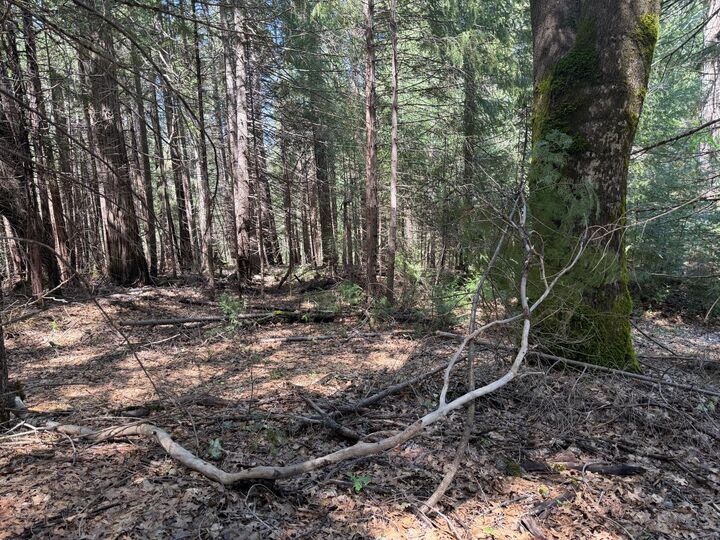 Property Photo:  17889 Lightfoot Way  CA 95959 