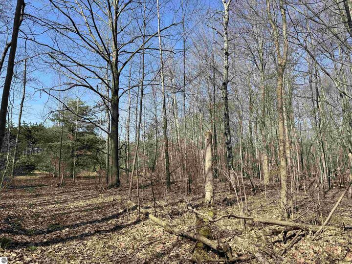 Property Photo:  Tbd N Loomis Road  MI 48617 