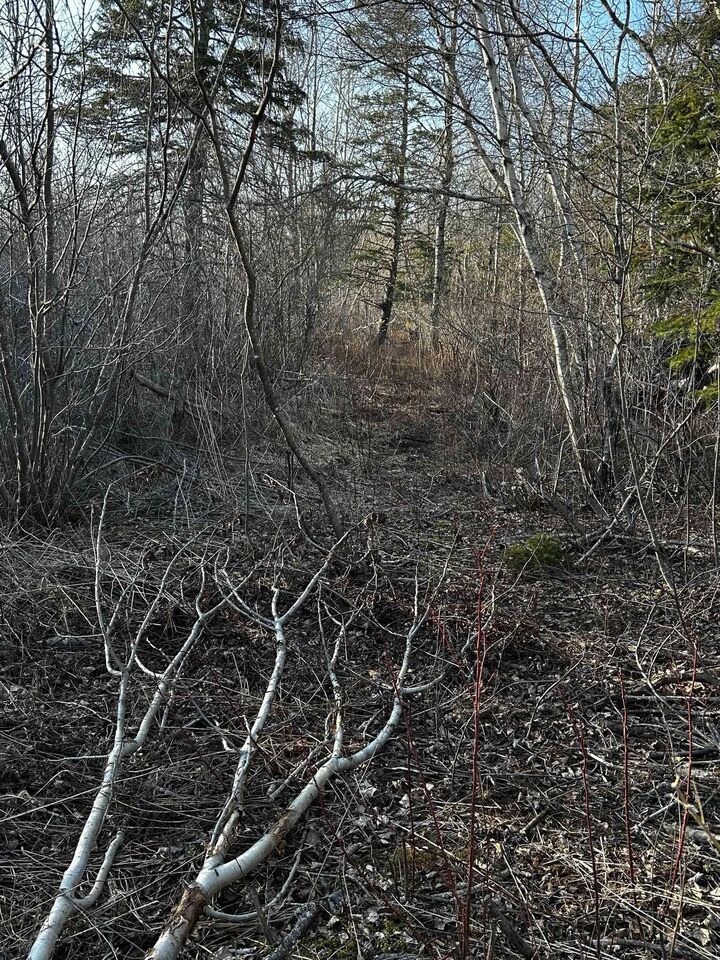 Property Photo:  Lot Ean-1B West Tatamagouche Road  NS B0K 1V0 