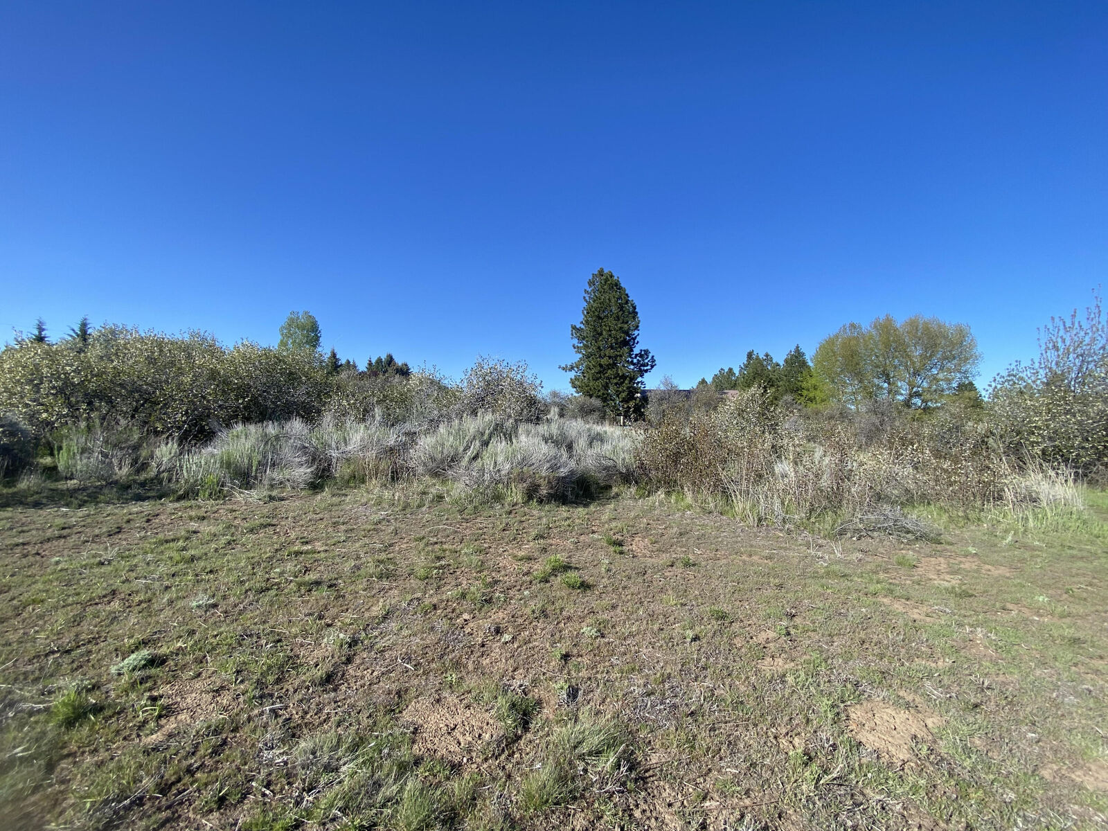 Property Photo:  0000 Meadow View Drive  OR 97624 