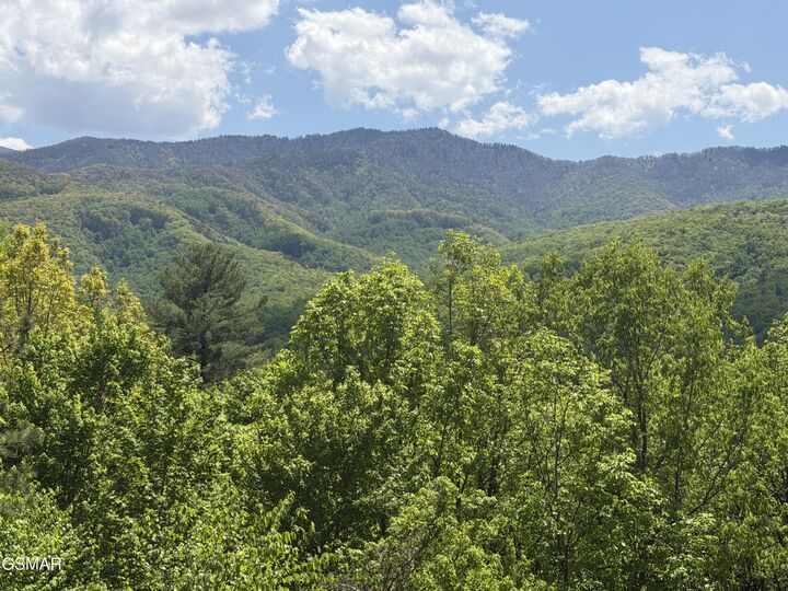 Property Photo:  439 Ridgeline Way  TN 37738 