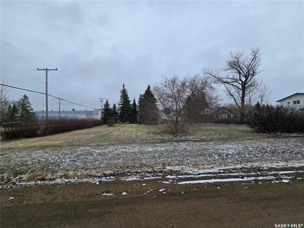 Photo de la propriété:  403 Assiniboia Avenue  SK S0G 0J8 