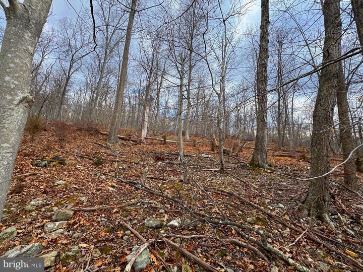 Property Photo:  Frog Hollow Road  WV 26711 