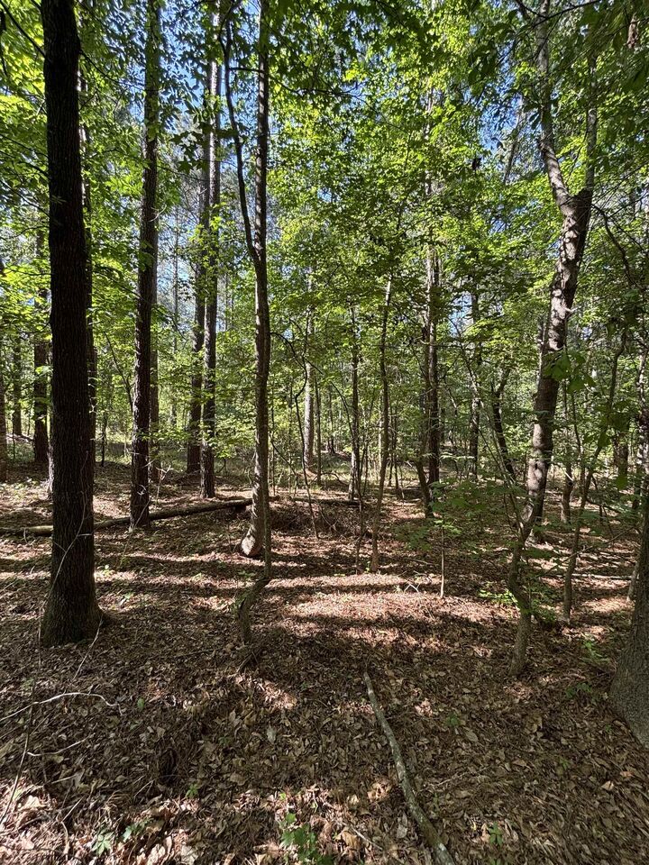Property Photo:  Tbd Pearson Rd.  SC 29102 