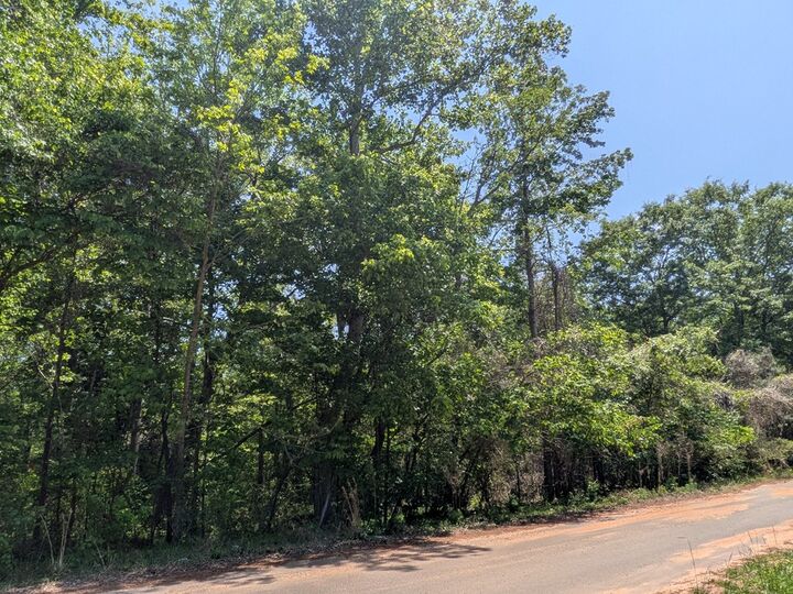 Property Photo:  0 Dorton Creek Drive  GA 31816 