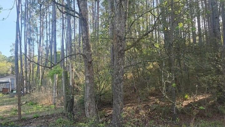 Property Photo: Lot 5 Walnut Tree Lane TX 77363