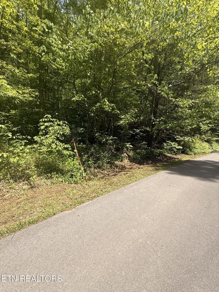 Property Photo:  4045 Suttons Rd  TN 37876 