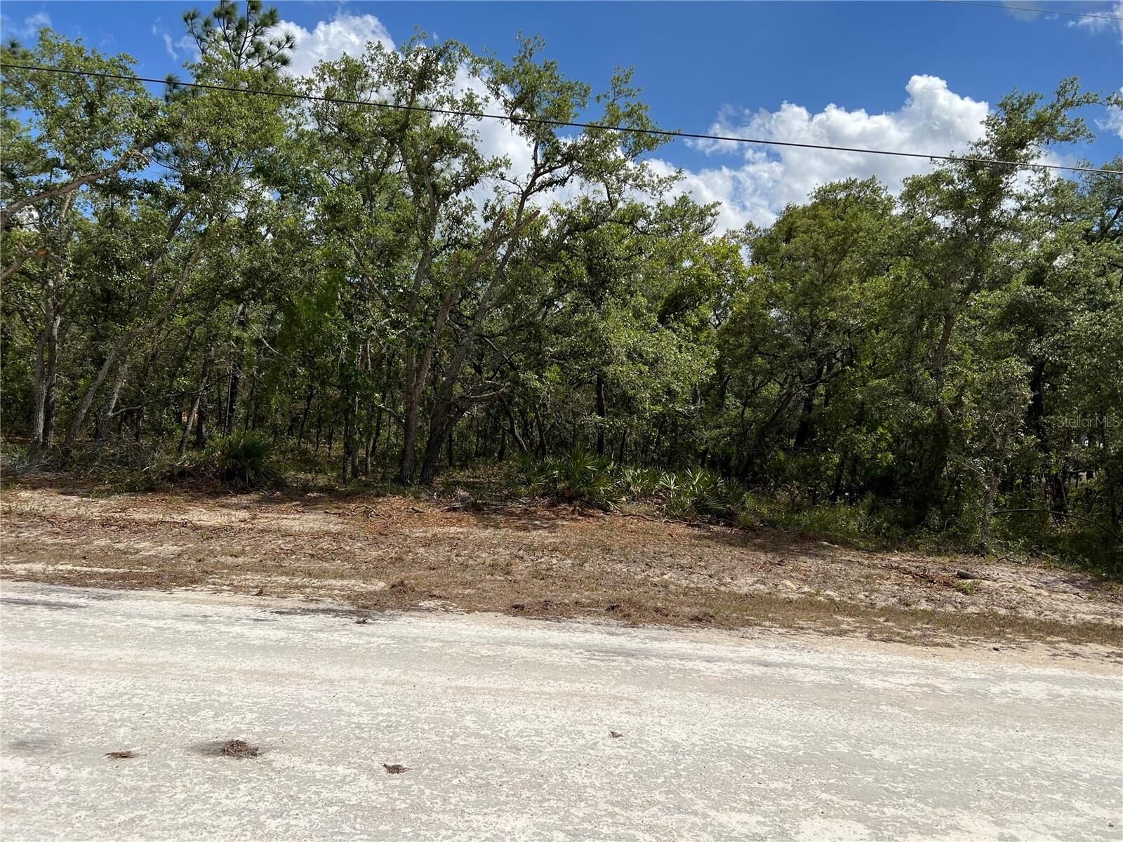 Property Photo:  Sage Thrasher Ave  FL 34614 