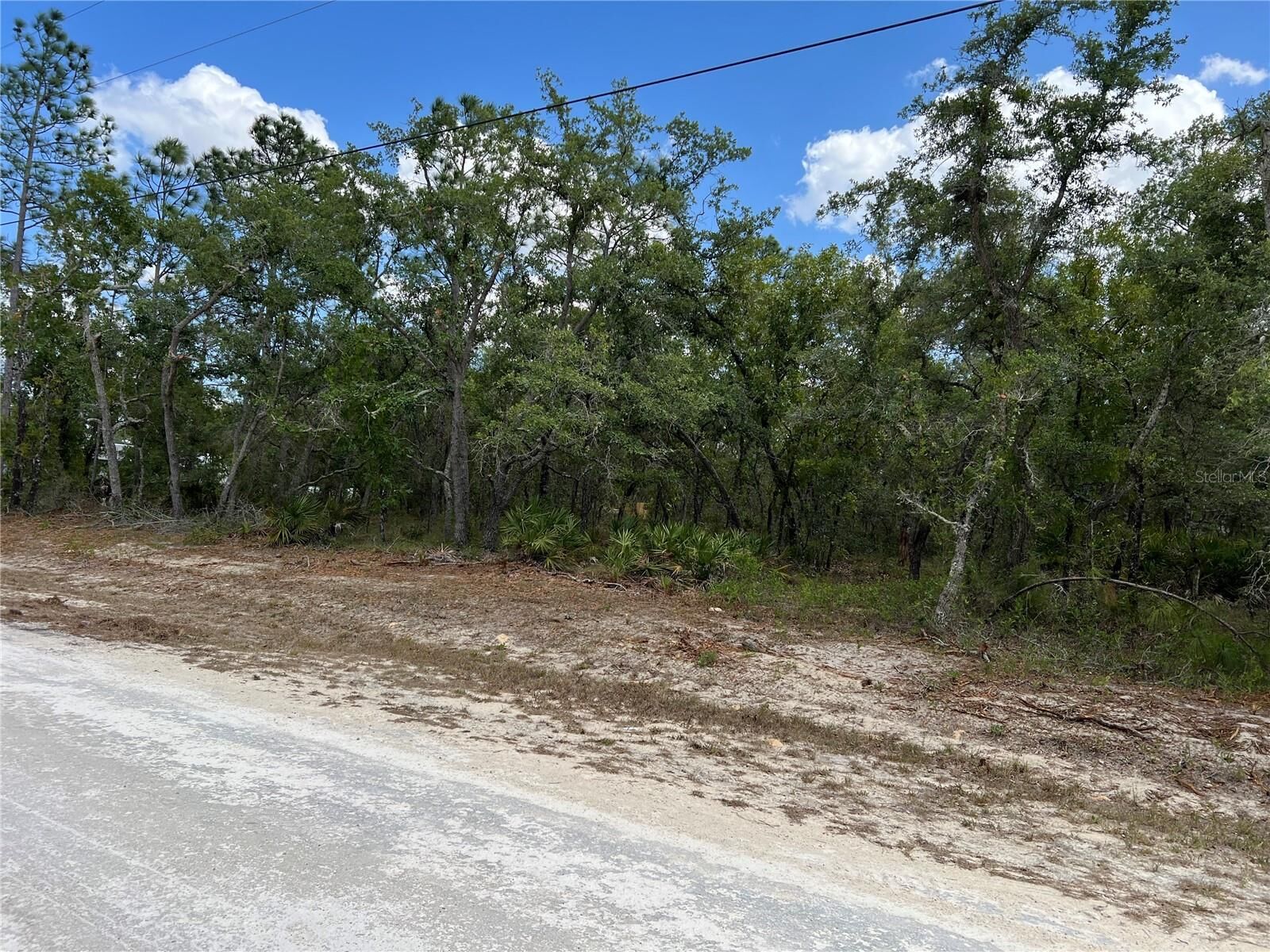 Property Photo:  Sage Thrasher Ave  FL 34614 