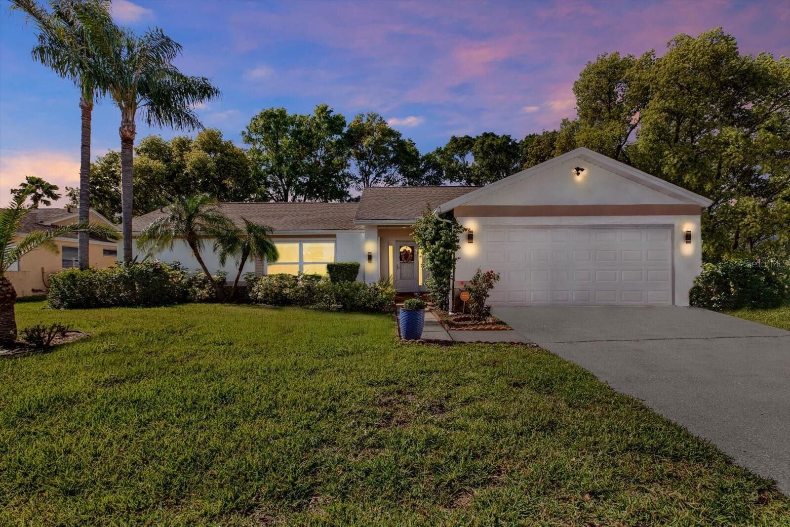 Property Photo:  9806 Didrikson Drive  FL 34655 