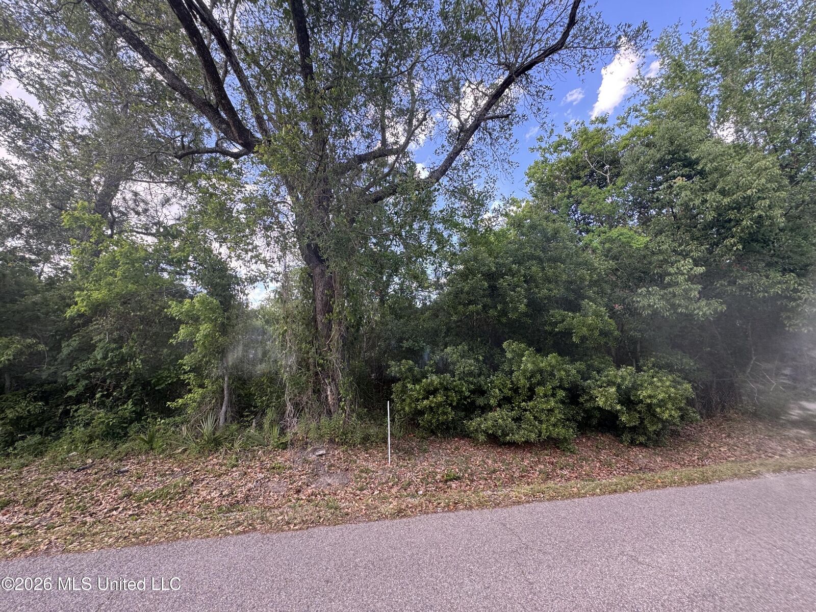 Property Photo:  221 Julia Street  MS 39520 