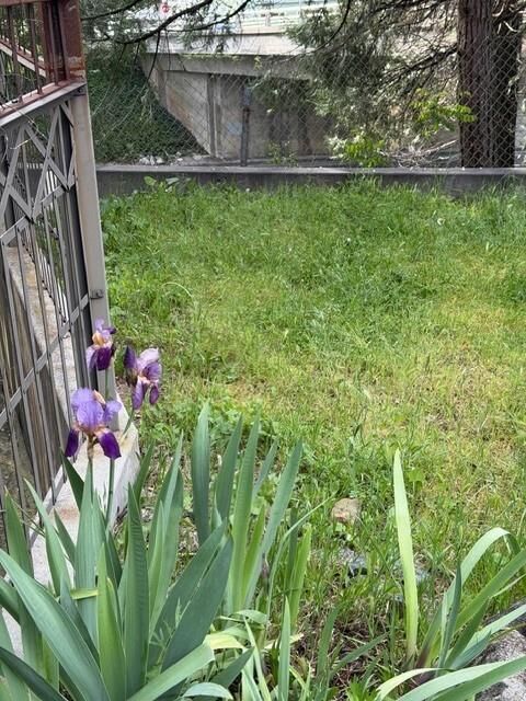 Property Photo:  0 Union Street  CA 95959 