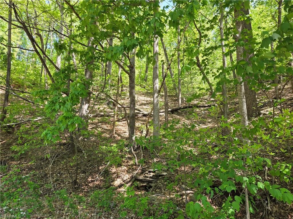 Property Photo:  Tbd Price Road  NC 28654 