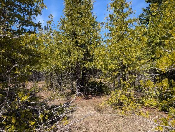 Property Photo:  0 Sutter Road  ON N0H 2T0 