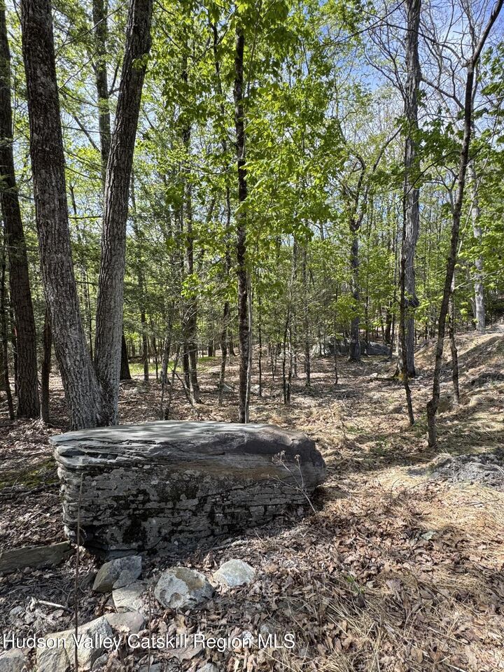 Property Photo: 291 Acorn Hill NY 12461